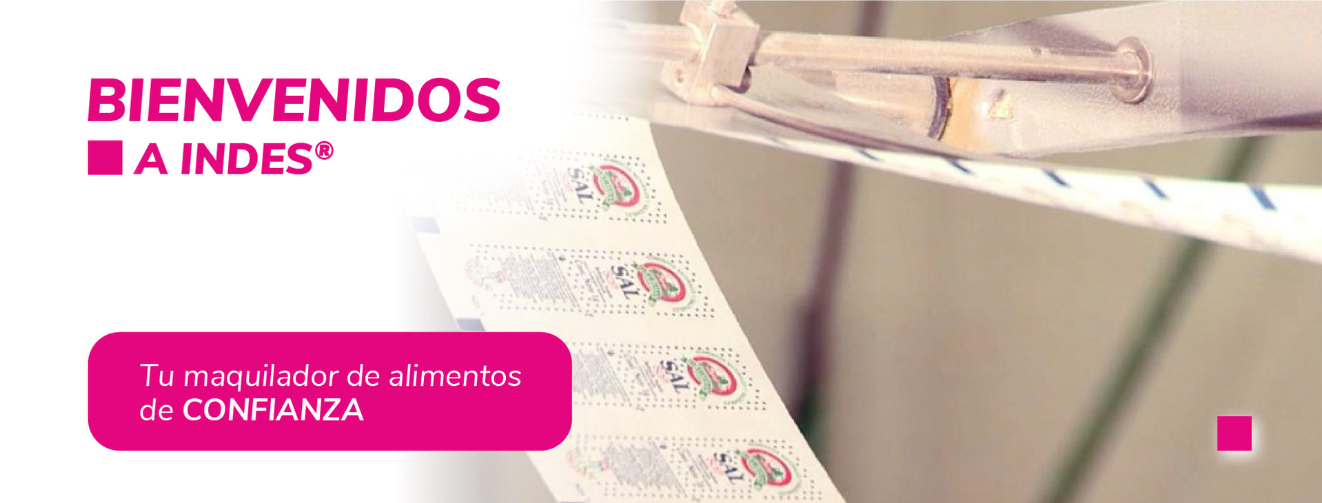 INDES SAS