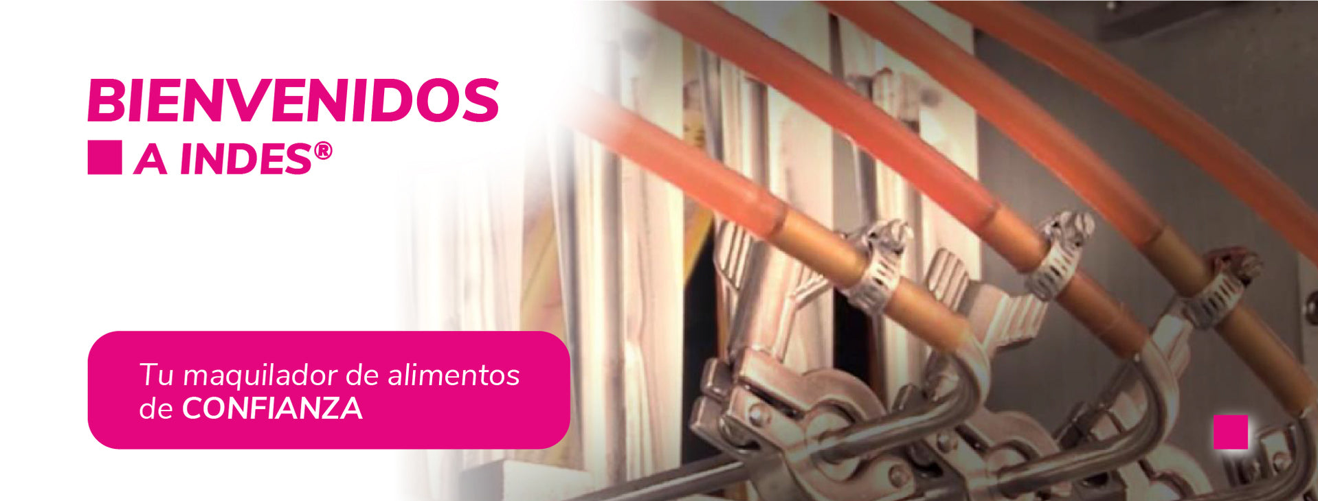 INDES SAS